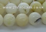 COP924 15.5 inches 12mm round white opal gemstone beads