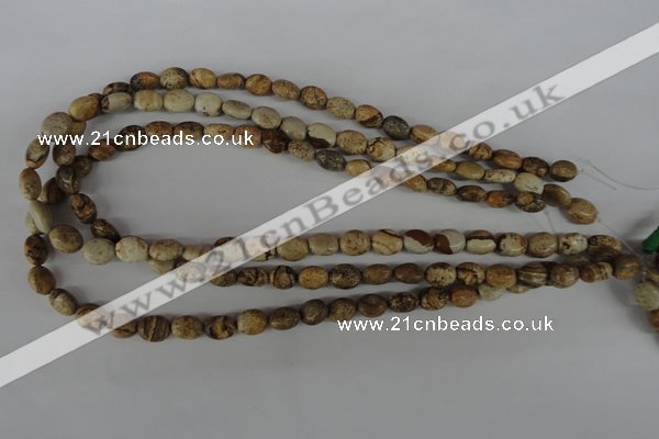 COV34 15.5 inches 8*10mm oval picture jasper beads wholesale