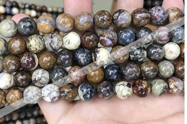 CPB1032 15.5 inches 10mm round pietersite beads wholesale