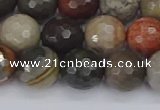 CPJ549 15.5 inches 10mm faceted round polychrome jasper beads