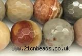 CPJ698 15 inches 12mm faceted round American picture jasper beads