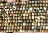 CPJ706 15.5 inches 4mm round rocky butte picture jasper beads