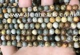 CPJ707 15.5 inches 6mm round rocky butte picture jasper beads