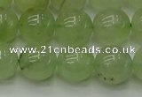 CPR314 15.5 inches 12mm round natural prehnite gemstone beads