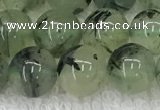 CPR391 15.5 inches 8mm round prehnite beads wholesale