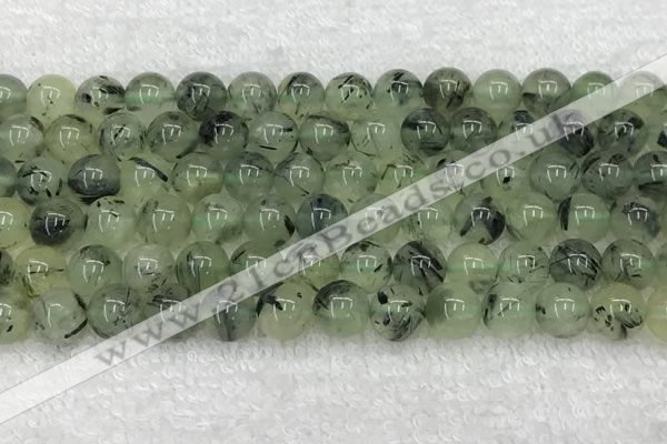 CPR392 15.5 inches 10mm round prehnite beads wholesale