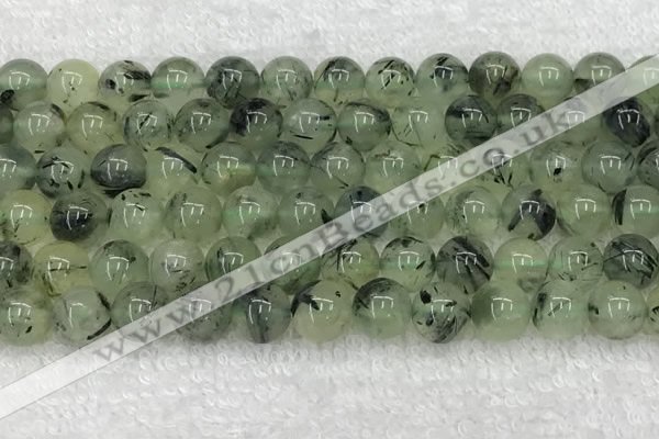 CPR393 15.5 inches 12mm round prehnite beads wholesale