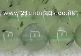 CPR397 15.5 inches 10mm round prehnite gemstone beads