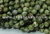 CPS04 15.5 inches 6mm round green peacock stone beads wholesale