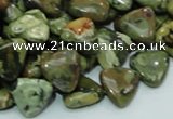 CPS31 15.5 inches 12*12mm triangle green peacock stone beads