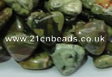 CPS32 15.5 inches 16*16mm triangle green peacock stone beads