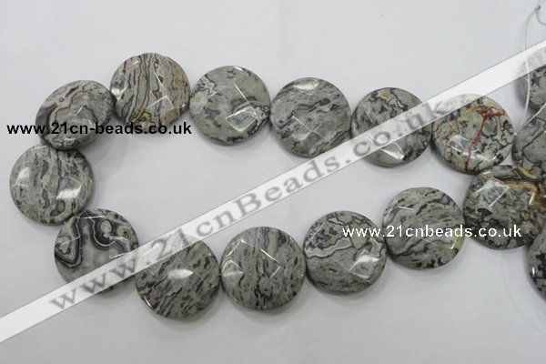 CPT127 15.5 inches 30mm faceted coin grey picture jasper beads