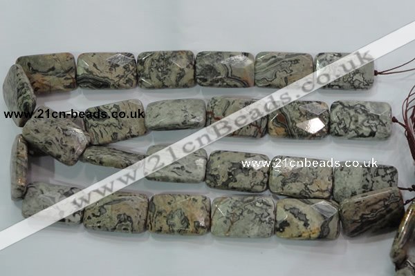 CPT131 15.5 inches 20*30mm faceted rectangle grey picture jasper beads