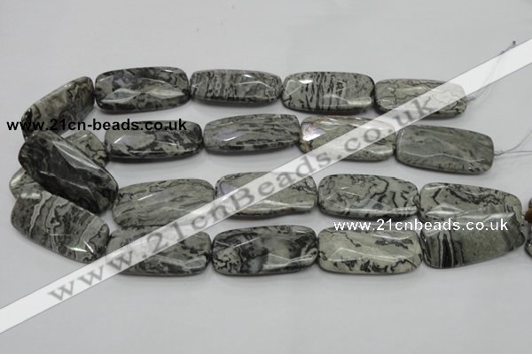 CPT132 15.5 inches 20*40mm faceted rectangle grey picture jasper beads