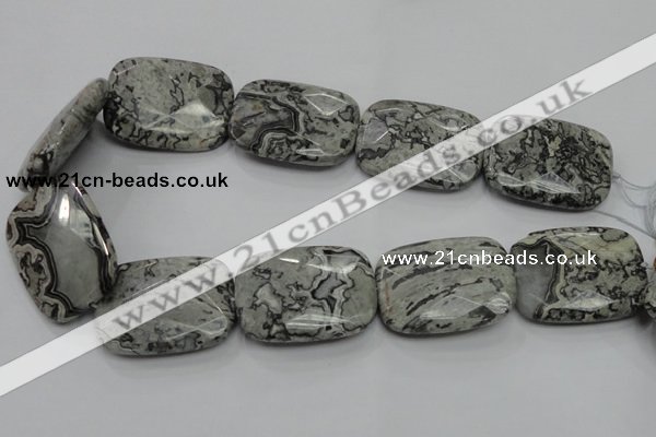 CPT133 15.5 inches 30*40mm faceted rectangle grey picture jasper beads