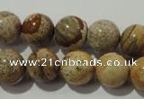 CPT455 15.5 inches 14mm round picture jasper beads wholesale