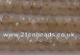 CRB210 15.5 inches 3*4mm faceted rondelle moonstone beads