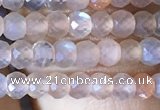 CRB2620 15.5 inches 2*3mm faceted rondelle moonstone beads