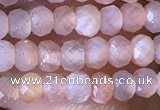 CRB2624 15.5 inches 2*3mm faceted rondelle moonstone beads