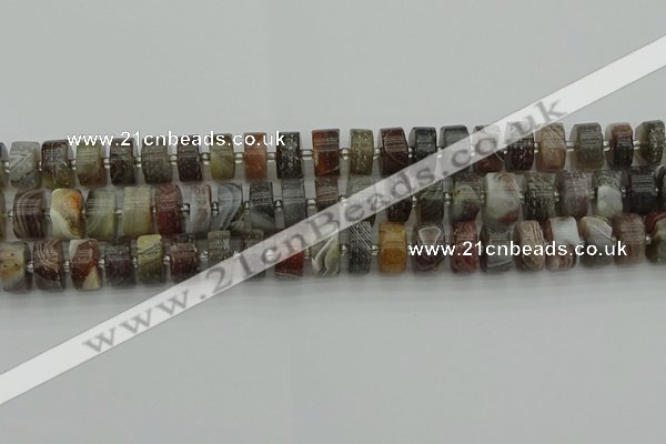 CRB489 15.5 inches 6*12mm tyre matte botswana agate beads wholesale