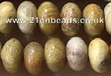 CRB5321 15.5 inches 4*6mm rondelle fossil coral beads wholesale