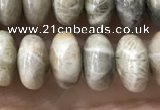 CRB5336 15.5 inches 5*8mm rondelle fossil coral beads wholesale