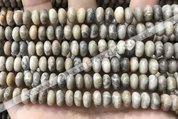 CRB5336 15.5 inches 5*8mm rondelle fossil coral beads wholesale