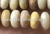 CRB5355 15.5 inches 5*8mm rondelle fossil coral beads wholesale