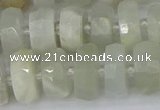 CRB811 15.5 inches 6*12mm faceted rondelle grey moonstone beads