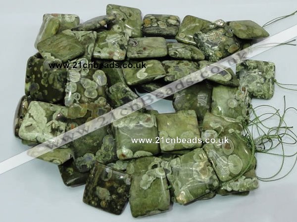 CRH20 15.5 inches 30*30mm square rhyolite beads wholesale