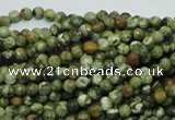 CRH54 15.5 inches 4mm faceted round rhyolite beads wholesale