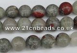 CRO190 15.5 inches 10mm round bloodstone beads wholesale