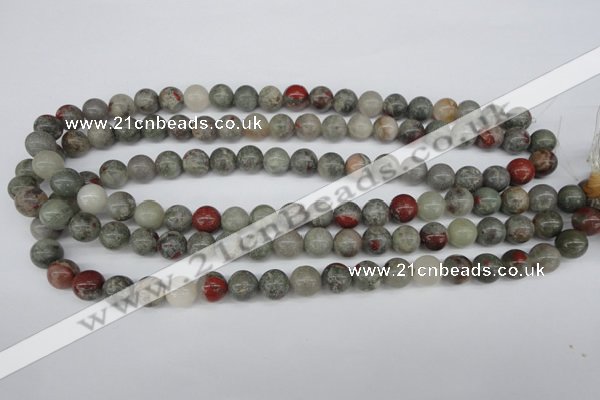 CRO190 15.5 inches 10mm round bloodstone beads wholesale