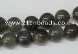 CRO232 15.5 inches 10mm round labradorite gemstone beads wholesale