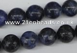 CRO344 15.5 inches 12mm round sodalite gemstone beads wholesale