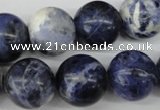 CRO423 15.5 inches 16mm round sodalite gemstone beads wholesale