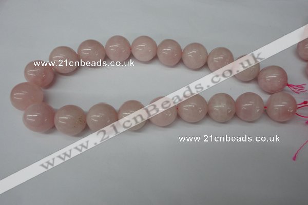 CRO545 15.5 inches 20mm round rose quartz beads wholesale