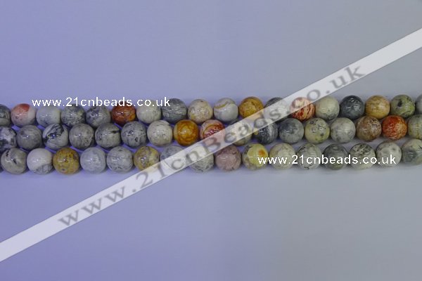 CRO863 15.5 inches 10mm round sky eye stone beads wholesale