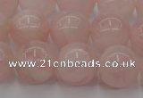 CRQ672 15.5 inches 10mm round rose quartz beads wholesale