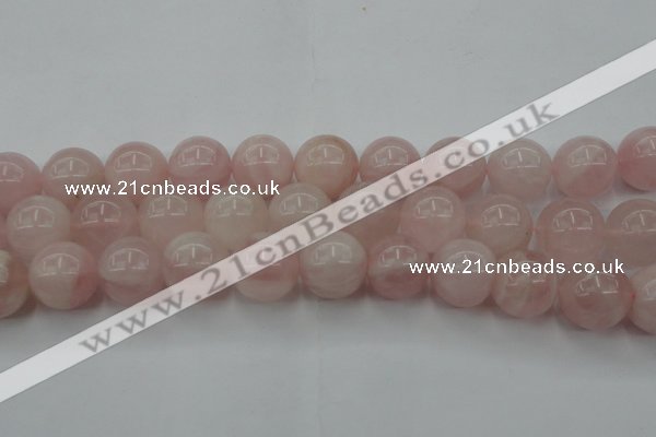 CRQ675 15.5 inches 16mm round rose quartz beads wholesale