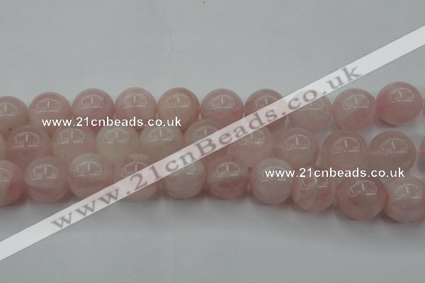 CRQ676 15.5 inches 16mm round rose quartz beads wholesale