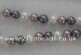 CSB1010 15.5 inches 6mm round mixed color shell pearl beads