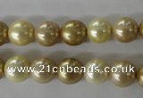 CSB1069 15.5 inches 10mm round mixed color shell pearl beads