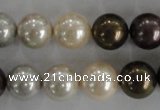 CSB1083 15.5 inches 12mm round mixed color shell pearl beads