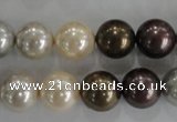 CSB1088 15.5 inches 12mm round mixed color shell pearl beads