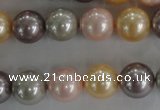 CSB1093 15.5 inches 12mm round mixed color shell pearl beads