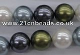 CSB1124 15.5 inches 14mm round mixed color shell pearl beads