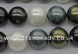 CSB1125 15.5 inches 14mm round mixed color shell pearl beads