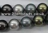 CSB1126 15.5 inches 14mm round mixed color shell pearl beads