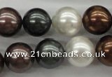 CSB1127 15.5 inches 14mm round mixed color shell pearl beads